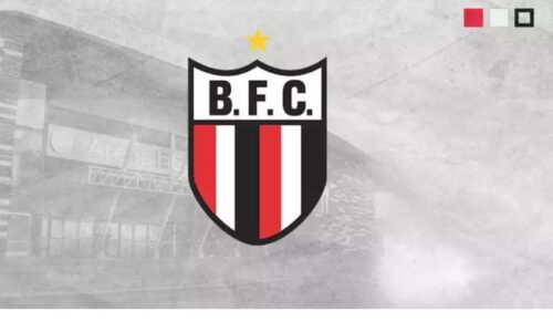 Emoji do Botafogo-SP para Copiar